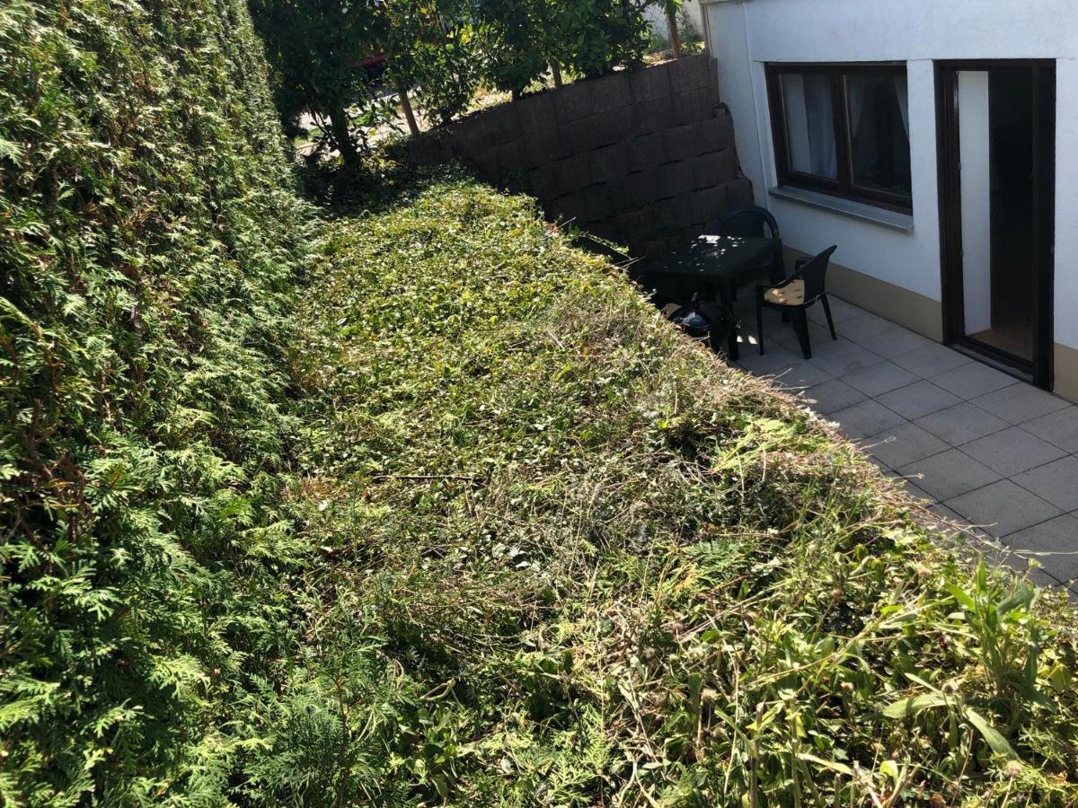 Ferienwohnung Familie Hinrichs Dorn-Durkheim Exteriör bild